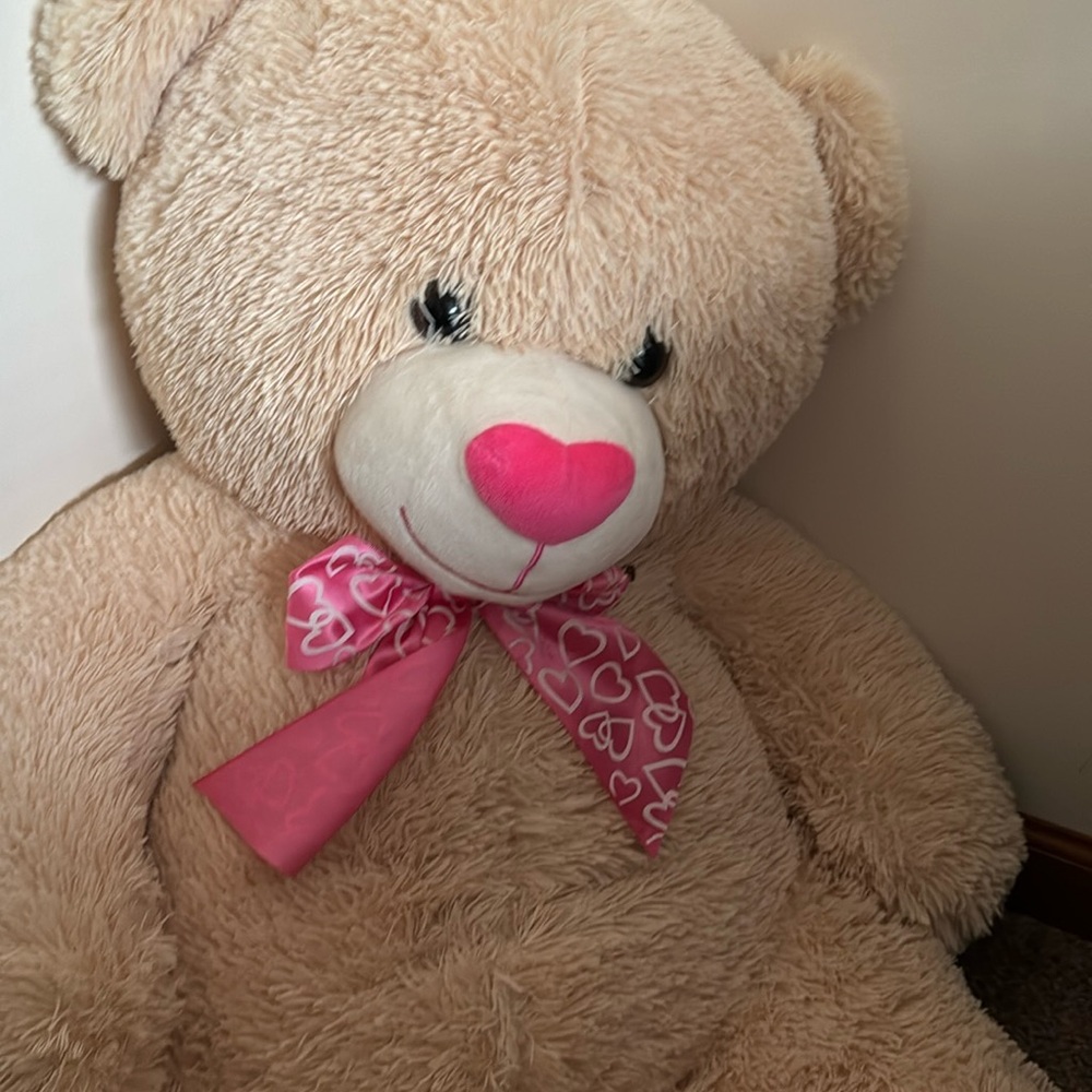 gigantic valentine bear